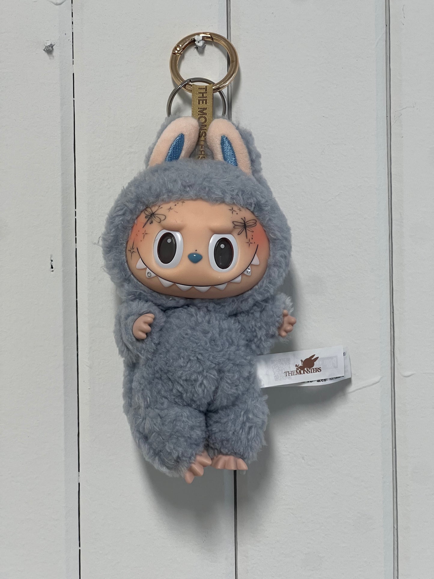 Dragonfly flutters sea salt